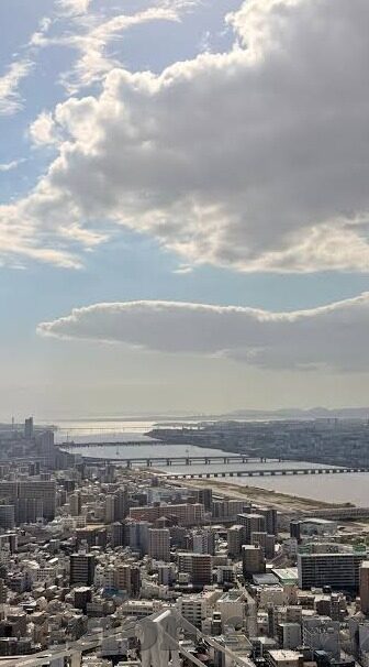 麻豆传媒app哪里下载-整治麻豆传媒APP乱象，寻找安全可靠的下载渠道